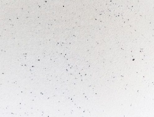 10 Black Splash 3 495x375