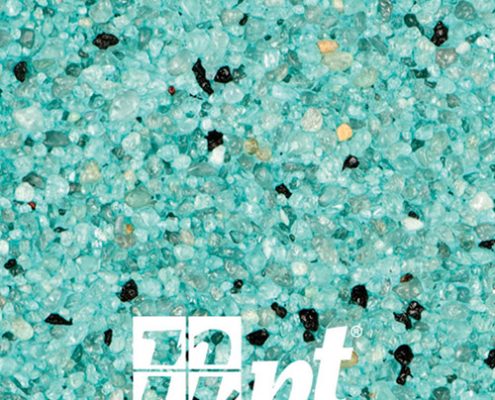 Qs Regular Bonsai 495x400