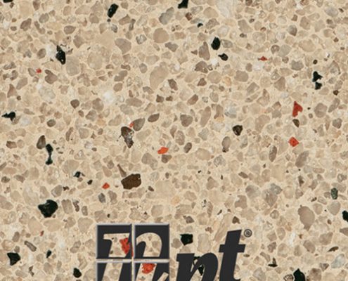 Qs Regular Cappuccino 495x400