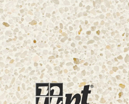 Qs Regular Ivory 495x400