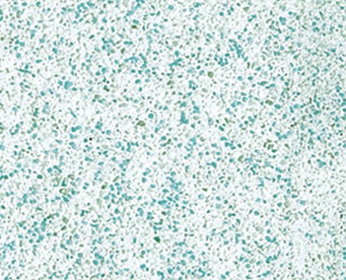 Aqua Quartz2 Copy 495x400