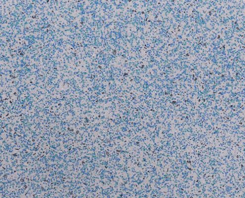 E Zpatch Mediterraean Blue 495x400