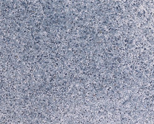 E Zpatch Tahoe Blue 495x400