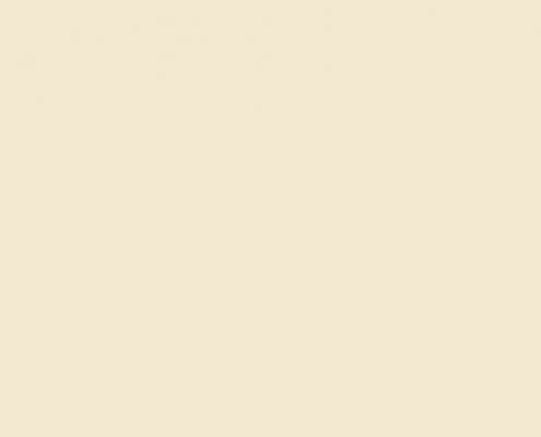 B American Navajo White 495x400