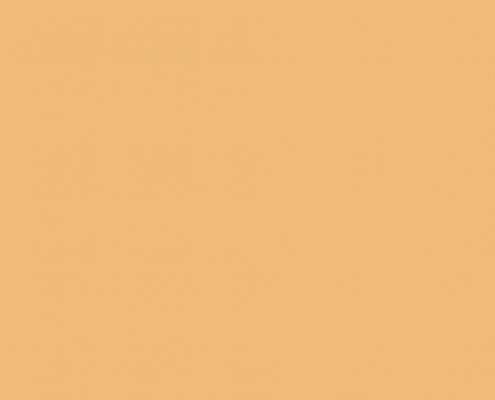 Dd Tan Leather 495x400