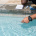 How To Repair Pool Plaster Cracks The Complete Guide